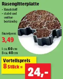 Thomas Philipps Rasengitterplatte Angebot