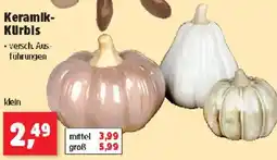 Thomas Philipps Keramik Kürbis Angebot