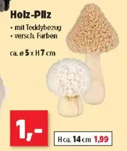 Thomas Philipps Holz Pilz Angebot
