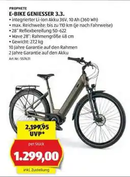 Hofer E-BIKE GENIESSER 3.3 Angebot