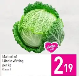 Sutterlüty Mahlerhof Ländle Wirsing Angebot