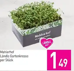 Sutterlüty Mahlerhof Ländle Gartenkresse Angebot