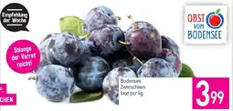 Sutterlüty Bodensee Zwetschken lose Angebot