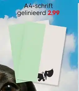 HEMA A4-schrift gelinieerd Angebot