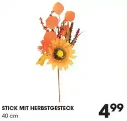 Libro Stick mit herbstgesteck Angebot