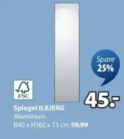JYSK Spiegel ILBJERG Angebot