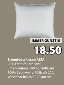 JYSK Entenfederkissen alta Angebot