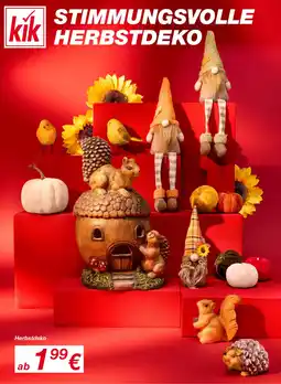 KiK Herbstdeko Angebot