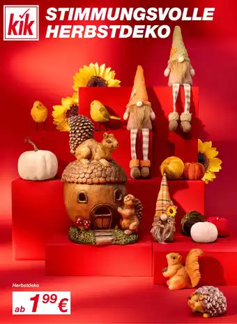 KiK Herbstdeko Angebot
