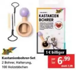 Pagro Diskont Kastanienbohrer Set Angebot