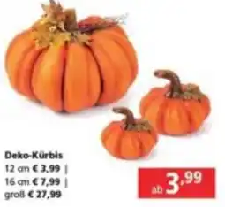 Pagro Diskont Deko Kürbis Angebot