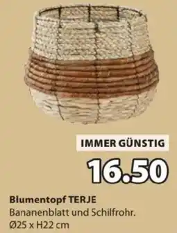 JYSK Blumentopf TERJE Angebot
