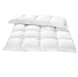 Reiter Daunendecke „Sarah” O6002001 Betten Reiter Angebot