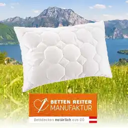 Reiter Schurwollpolster GOTS F2901401 Betten Reiter Angebot