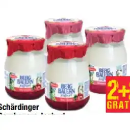 Maximarkt Bergbauern Joghurt versch. Sorten MaximarktS Angebot