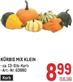 Metro Kürbis mix klein Angebot
