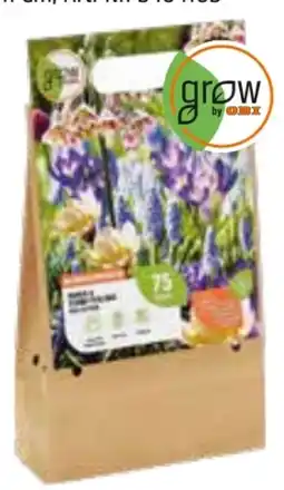 OBI Grow by Obi Bienen- und Schmetterlinge-Kollektion Mischung Angebot