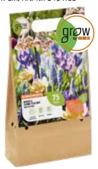OBI Grow by Obi Bienen- und Schmetterlinge-Kollektion Mischung Angebot