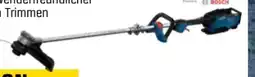 OBI Bosch Akku Rasentrimmer EasyGrasscut Angebot