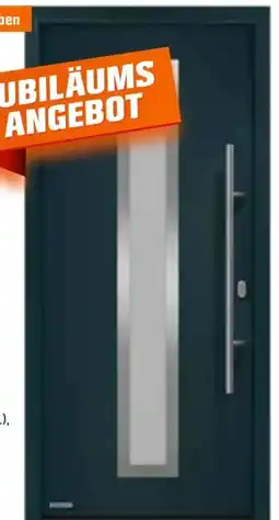 OBI Hörmann Haustür EcoStar Isopro Angebot