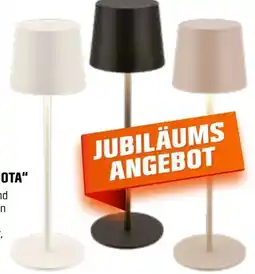 OBI Brilo Akku-LED-Tischleuchte Bota Angebot