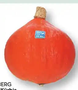 MPreis Bio vom Berg Hokkaido Kürbis Angebot