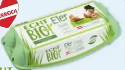PENNY Echt Bio Eier Angebot