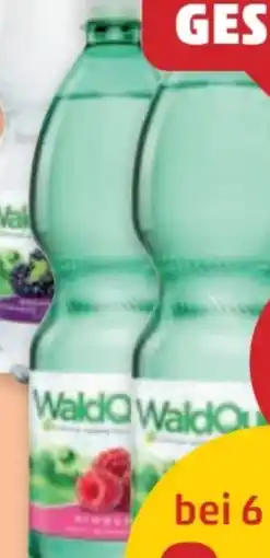PENNY Waldquelle Frucht Angebot