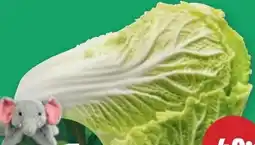 PENNY Ich bin Österreich Chinakohl Angebot