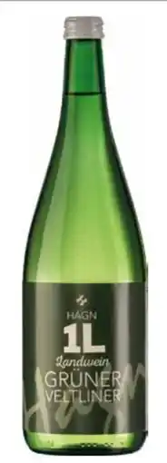 Transgourmet Weingut Hagn Grüner Veltliner Angebot