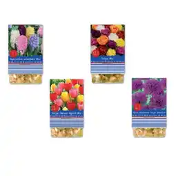 Lidl Frühjahrsblumenzwiebeln versch. Farben und Sorten Lidl Angebot
