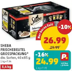 PENNY Sheba frischebeutel grosspackung Angebot
