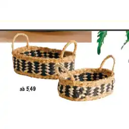 BayWa Korb BayWa Angebot