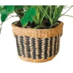 BayWa Korb „Amna“ 22 cm BayWa Angebot