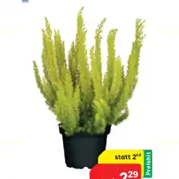 BayWa Baumheide 43210629 BayWa Angebot