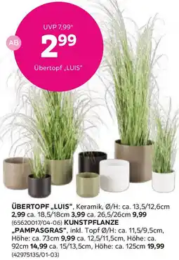 Mömax Übertopf Luis in diversen Farben Angebot
