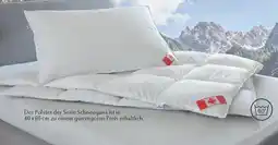 Matratzen Concord Daunendecke Angebot