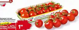 Billa Midi Rispentomaten Angebot