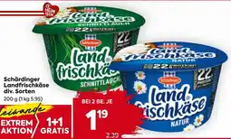 Billa Schärdinger Landfrischkäse div. Sorten Angebot