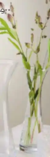 XXXLutz Leonardo Vase Bloom Angebot
