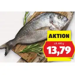 Hofer Bio Dorade HOFER Angebot
