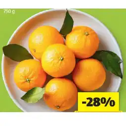 Hofer Mandarinen HOFER Angebot