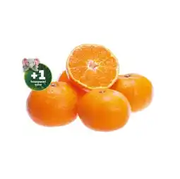PENNY Mandarinen jö Bonus Club Preis Penny Angebot
