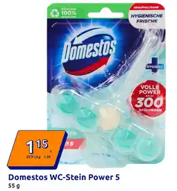 Action Domestos WC-Stein Power 5 Angebot