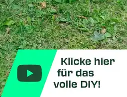 Lidl Klicke hier für das volle DIY! Angebot