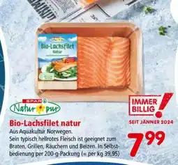 Interspar Bio-Lachsfilet Natur Angebot