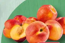 Spar Spar Premium Nektarinen Angebot