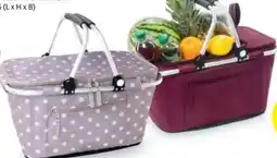 Hofer LS Live in Style Tragekorb Angebot