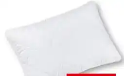 Interspar Rubin Komfort-Schlafkissen Angebot