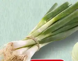 Spar Würziger Jungzwiebel Angebot